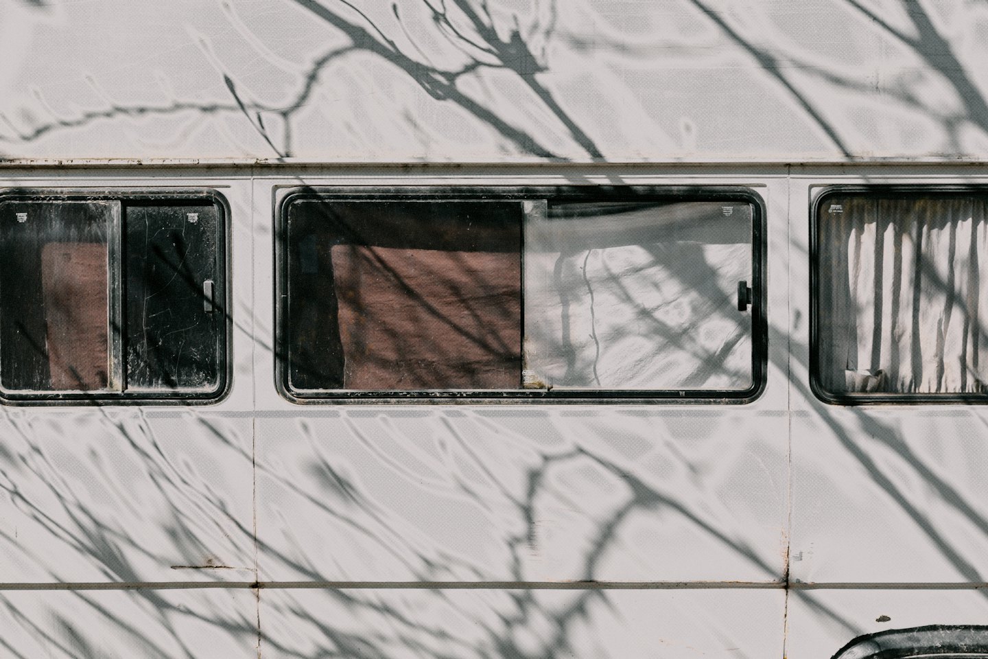 Schatten von Ästen fallen auf die Seite eines Campervans.